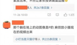 圈内群演爆料违法吗,爆料违法现象引关注